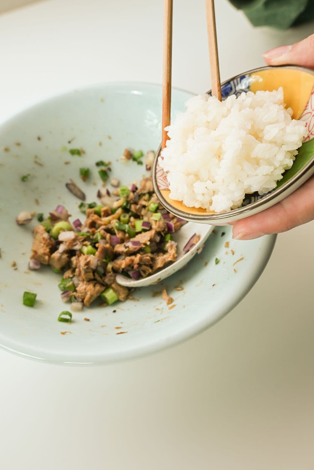 ZEN — Rice